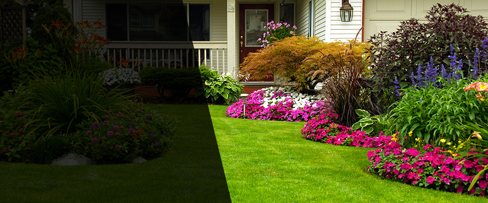 Euless Landscapers