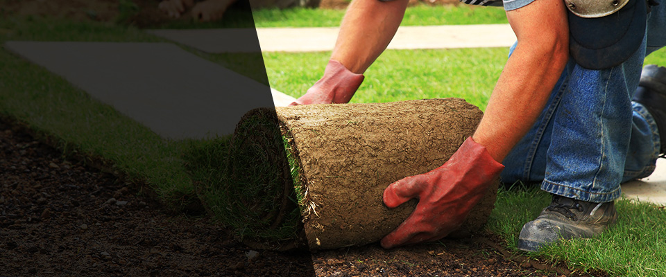 Euless Landscapers
